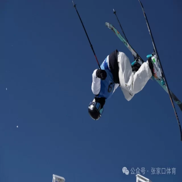 训练备战新闻聚焦：第284组阵容深度解读